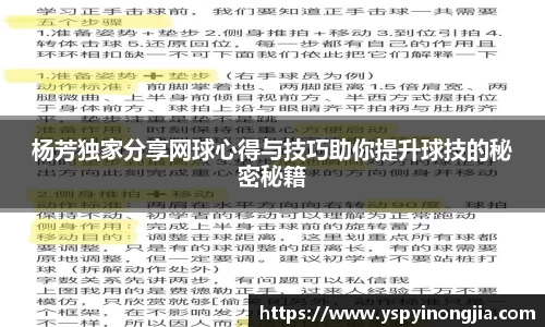 杨芳独家分享网球心得与技巧助你提升球技的秘密秘籍