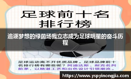 追逐梦想的绿茵场我立志成为足球明星的奋斗历程